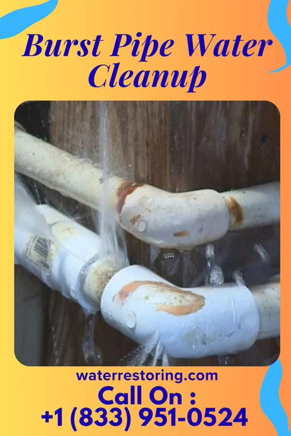Burst Pipe Water Cleanup in Clark, SD