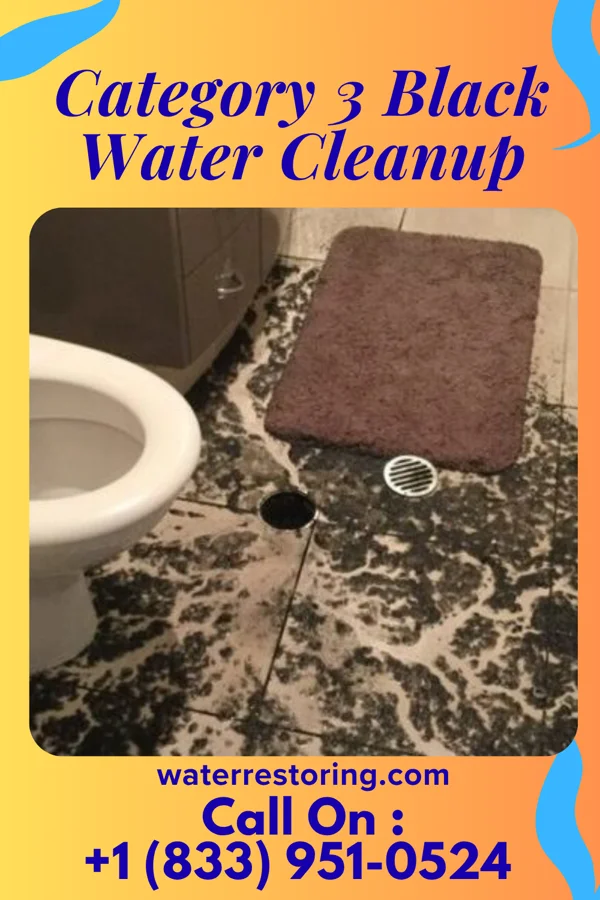 Category 3 Black Water Cleanup in Clark, SD