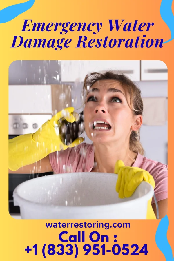 Emergency Water Damage Restoration in Clark, SD