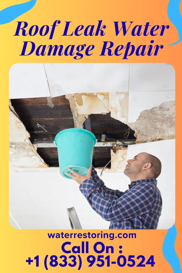 Roof Leak Water Damage Repair in Clark, SD