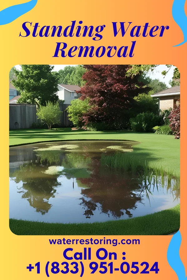 Standing Water Removal in Clark, SD